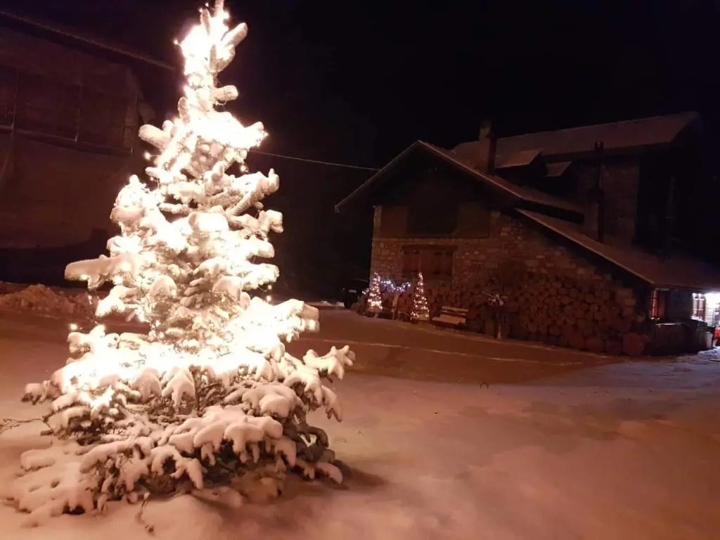 B&B ABETE BIANCO