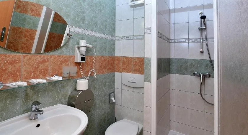 Hotel Břízky