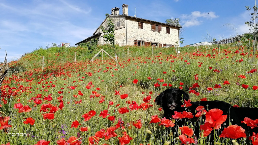Casale Le Orme