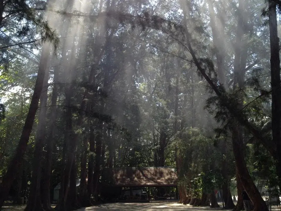 The Naka Camp