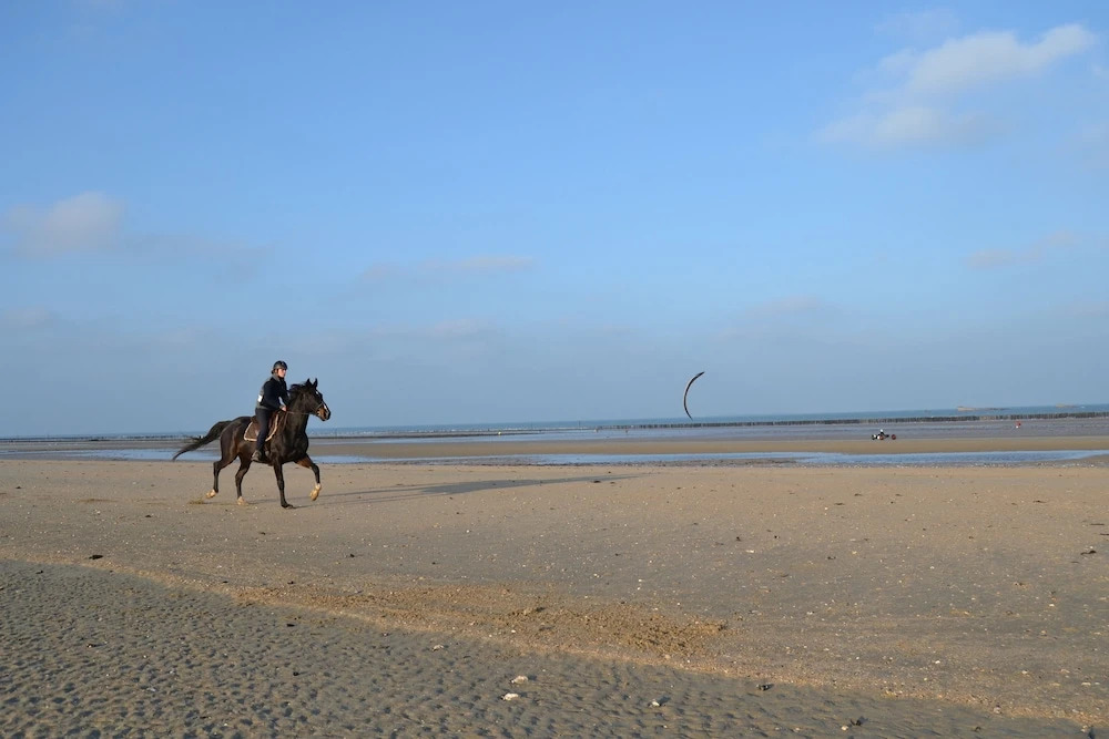 Le Castillon
