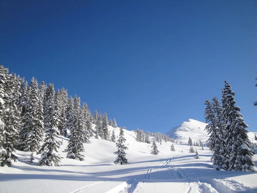 Mountain Moments Zillertal