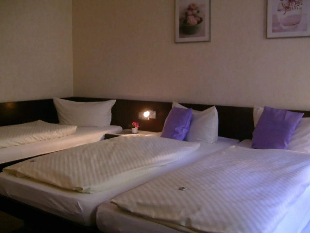 Hotel Wilder Mann
