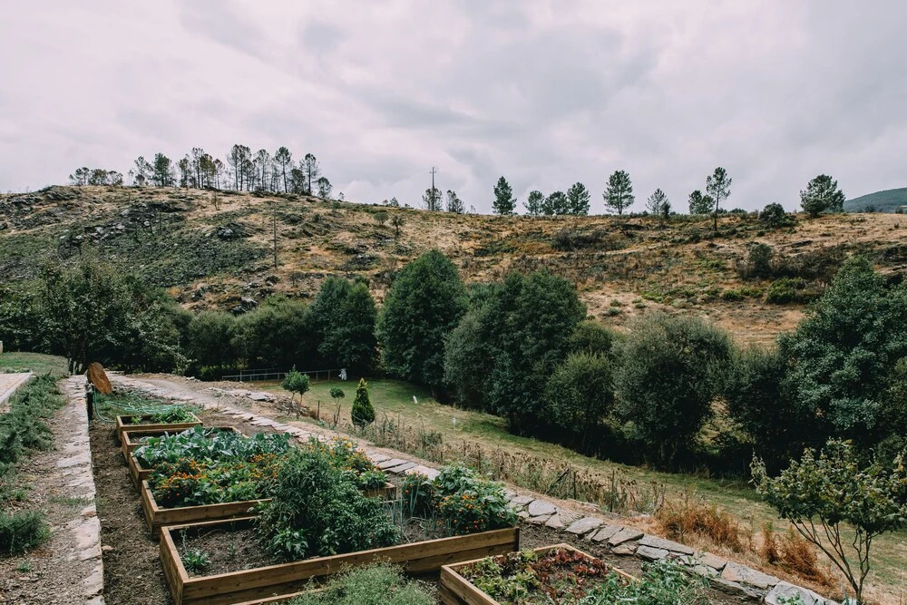 TerraSense Mountain Charm Retreat & Farm