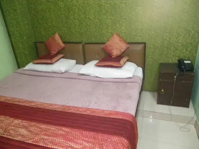 Hotel Pal Palace