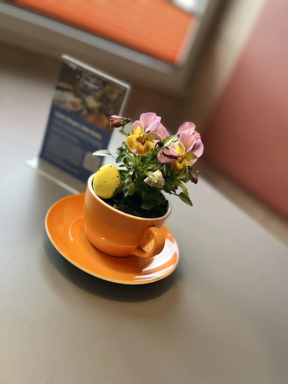 Hotel Schwedenhaus Wismar