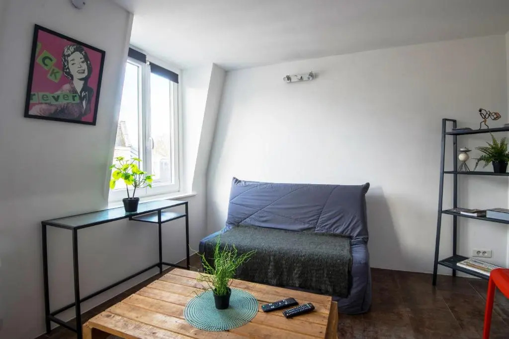 ROYALE APARTMENTS VIEUX LILLE 24H24H Access