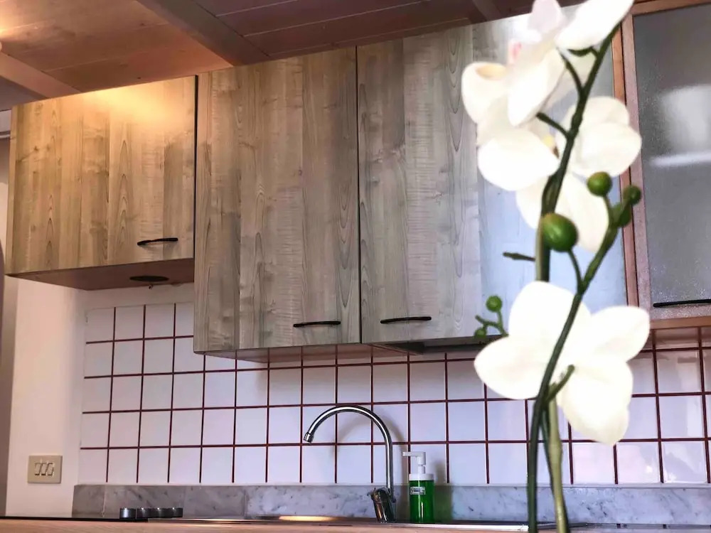 Ciclamino Apartment in Rome