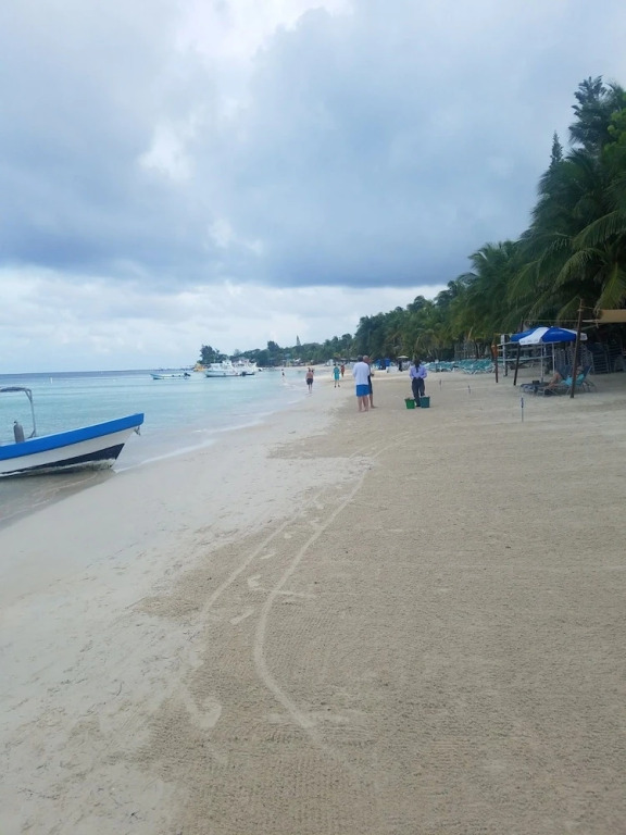 Bellamar