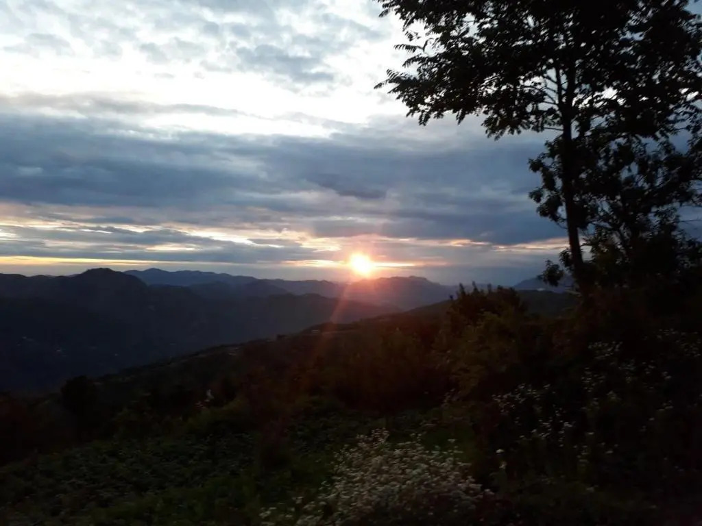 Trimurti Pine Valley Resort
