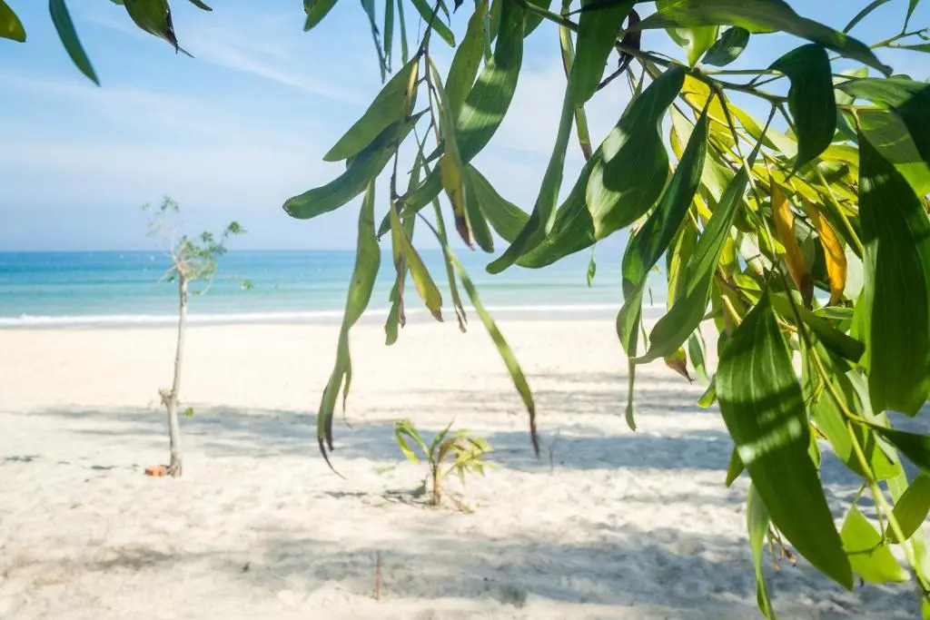 Robinson Beach Bungalow