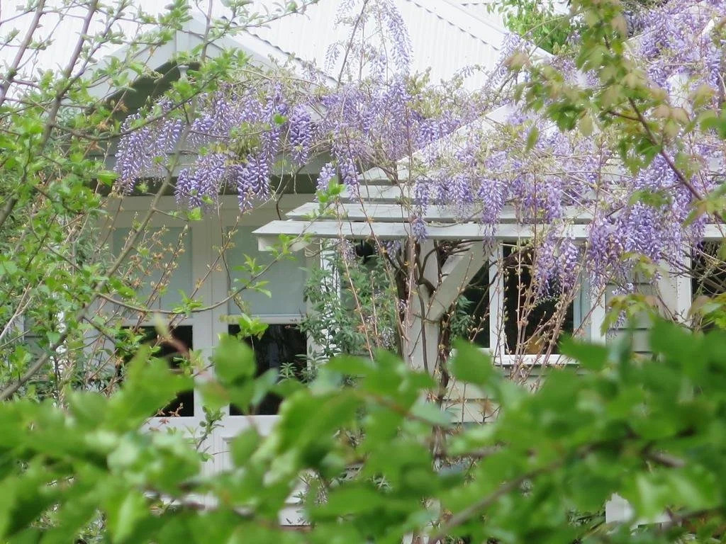 Amelina Cottages