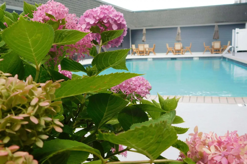 Holiday Inn Express