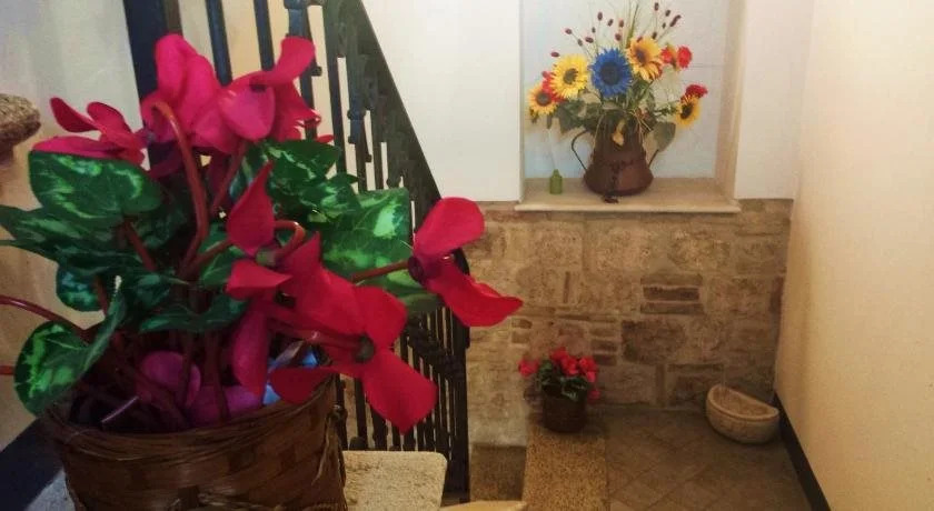 Il Ciclamino Bed and Breakfast