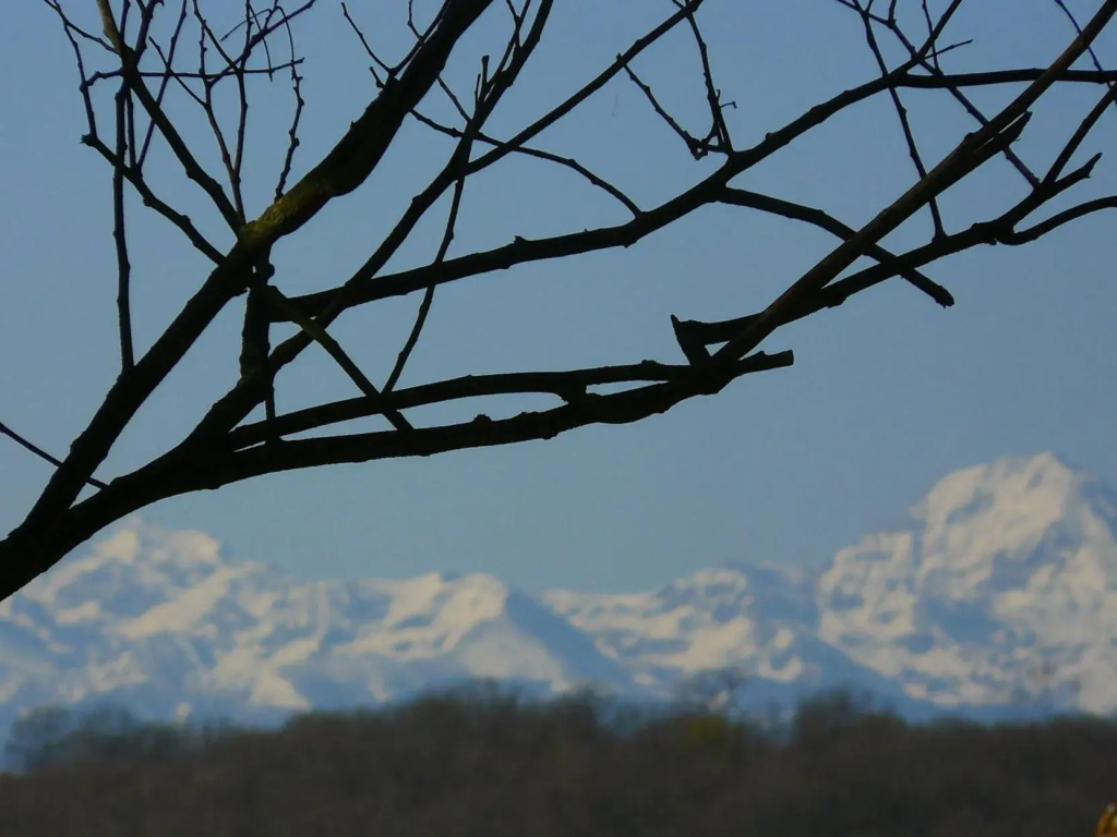 Gite Au Bouzigues