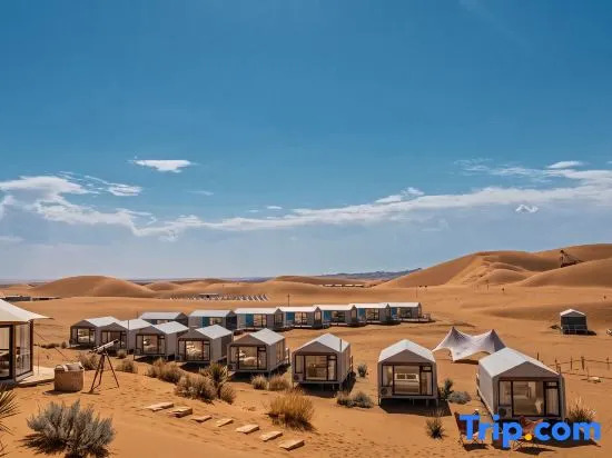 Camel shadows in the vast desert