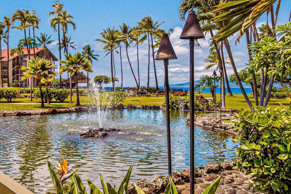 Papakea K406 OceanView 2 Bedroom/2 bath 2 Condo by RedAwning