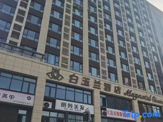 Tai'an Fuyue Homestay (Tai'an High-Speed Railway Station)