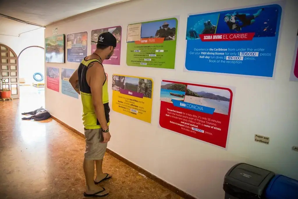 Drop Bear Hostel