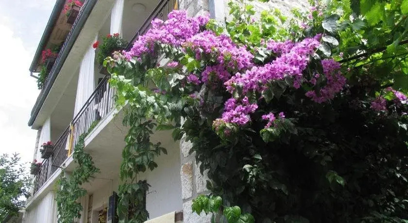 Guesthouse Ena