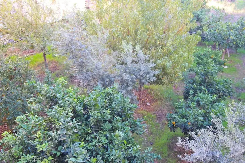 Central Spacious 2BR Apartment Fethiye