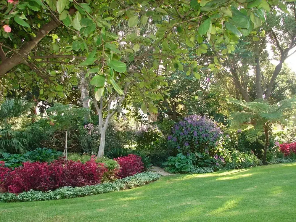 Randrivier