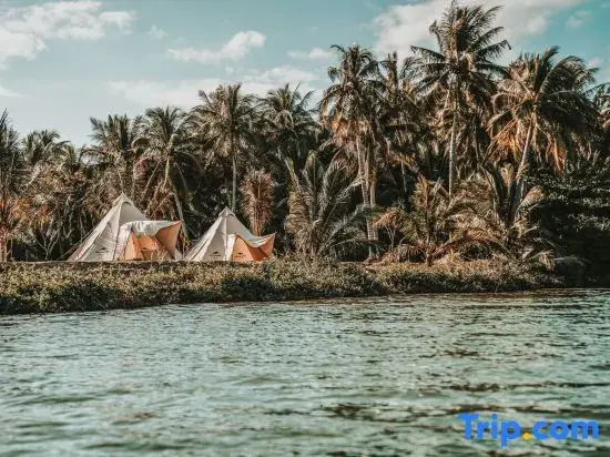 Yusheng Viva La Vida Glamping