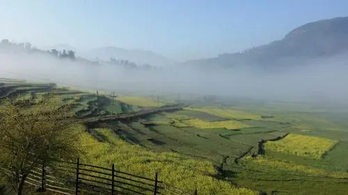 The Little House in the Rice Fields