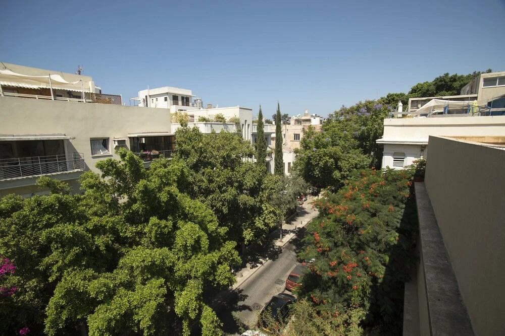 Sasson & Co Luxury Roof by Rothschild