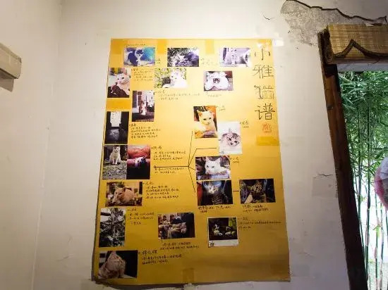 Xiaoya Youth Hostel