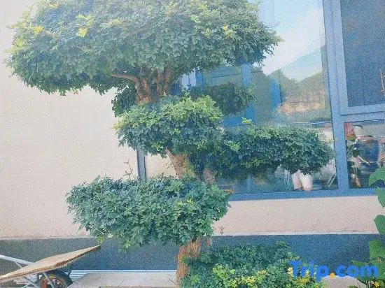 Shidu Shizhuyuan Homestay