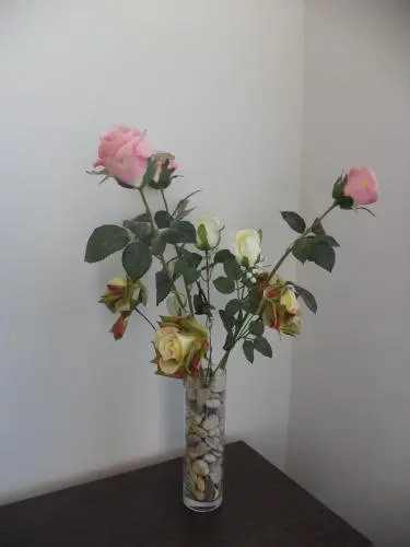 Guesthouse Loncar
