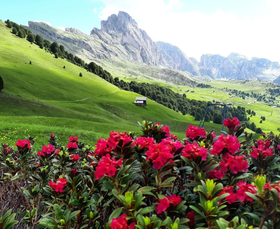 Dolomites Chalet CESA VEDLA -nature & silence