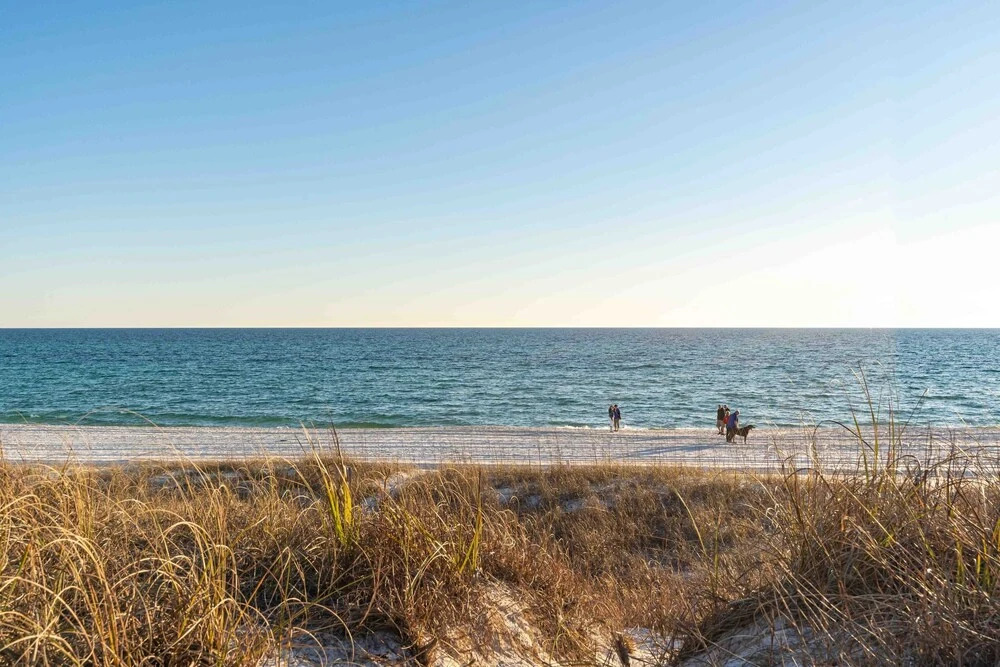 Gulf Front, Walk to Rosemary Beach, 5br, Gazebo Paradise on Park by Avantstay