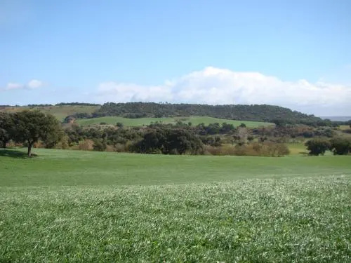 Quinta Da Mata