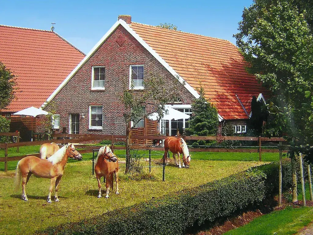 Reihenhäuser in Strackholt