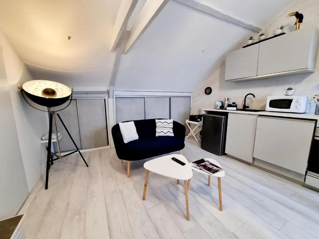 Centre Ville T2 Tout Confort Lumineux et Bureau