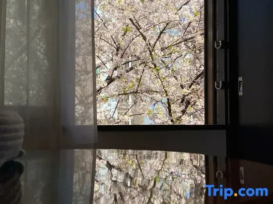Real Life HIROO