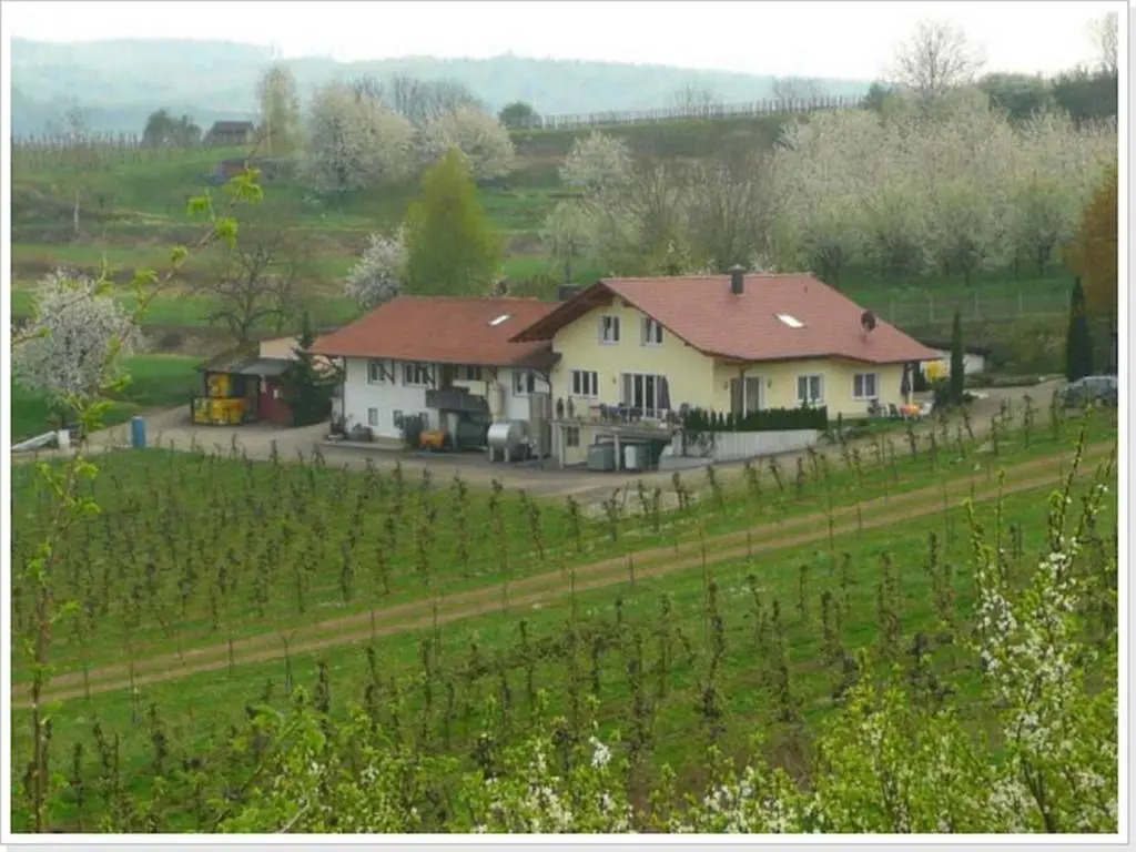 Weingut Ringwald