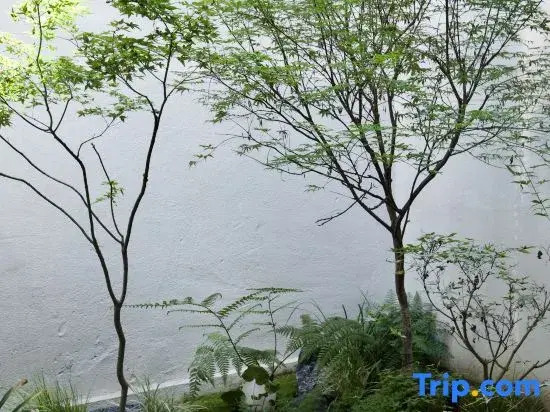 Ruyuan Homestay (Sansuci)