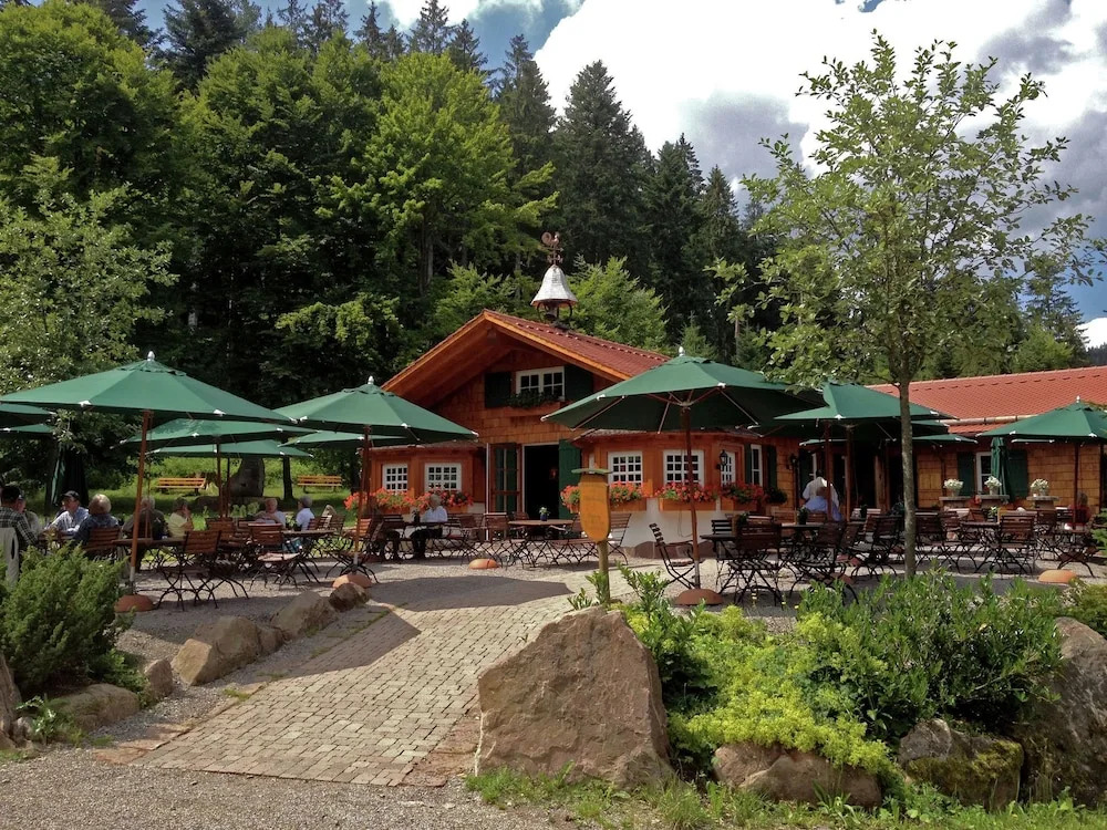 Cozy Apartment in Klosterreichenbach near Ski Area
