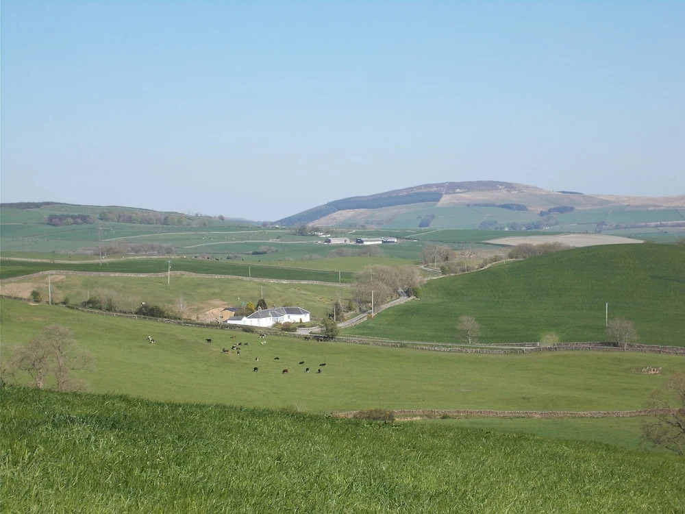 Bluebell Bank