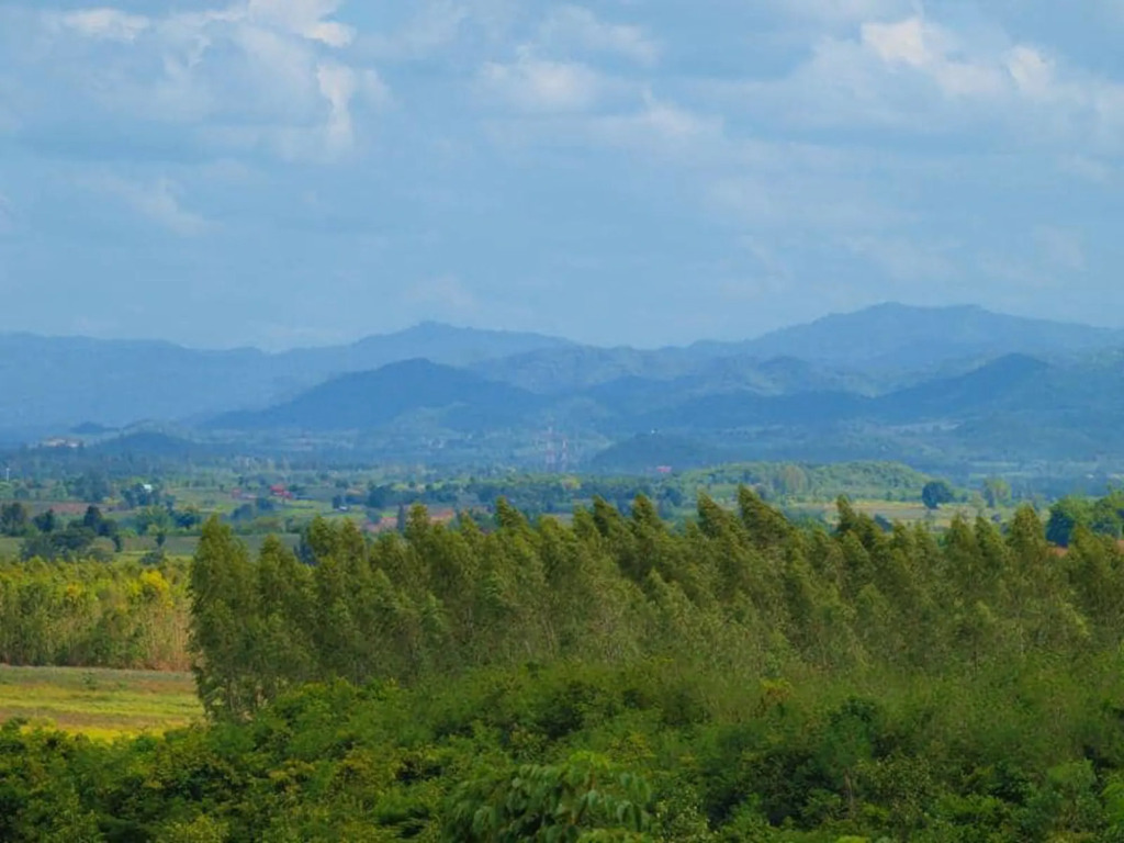 Baanrai Areeya