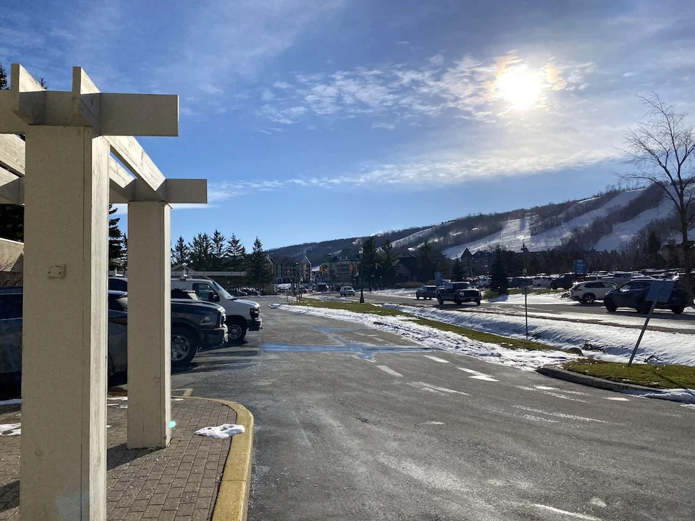Wintergreen Condos