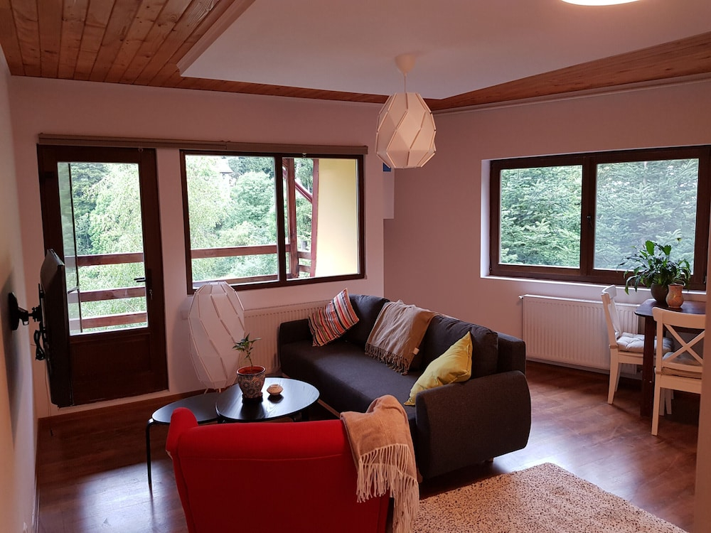 Forest Apartment by Olala Homes