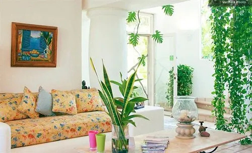 Casa Contenta