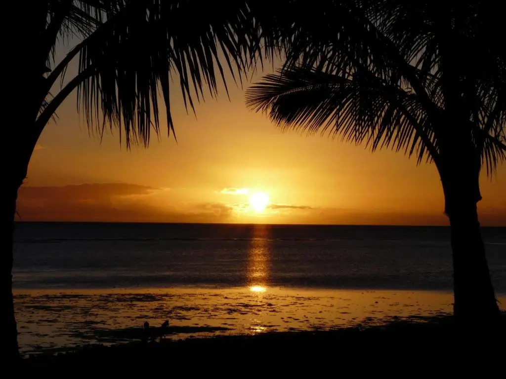 Ka Hale Kealoha