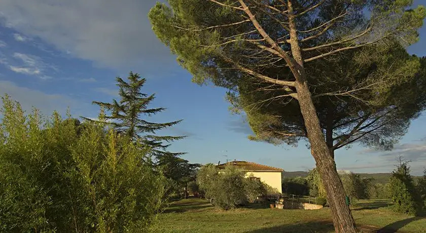 Maremmaemare