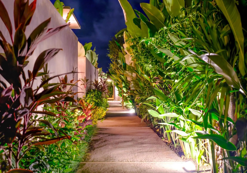 Canggu Wooden Green Paradise