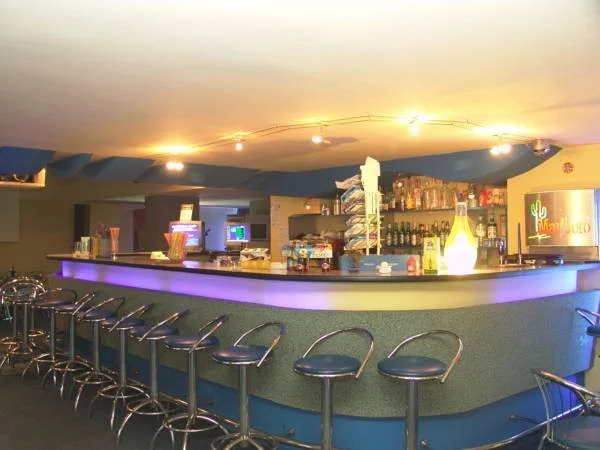 Hotel Bradul